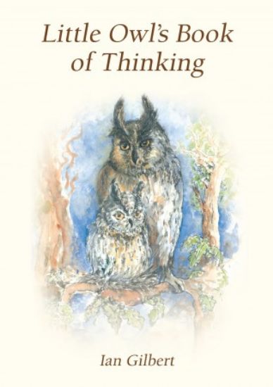 Picture of Little Owl's Book of Thinking