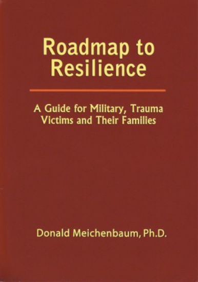 Picture of Roadmap to Resilience