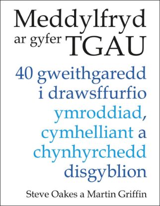 Picture of Meddylfryd ar gyfer TGAU