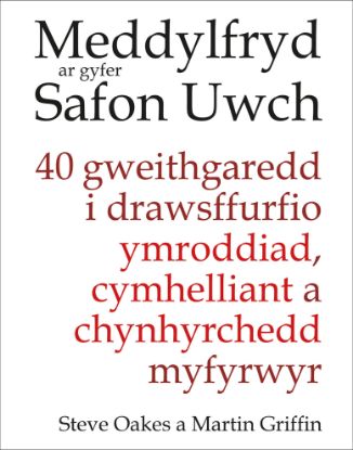 Picture of Meddylfryd ar gyfer Safon Uwch